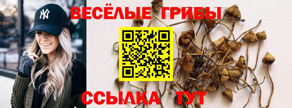 Южно-Сахалинск  Псилоцибиновые грибы Psilocybine cubensis  Вход с VPN 